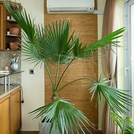 Апартамент Spacious 2-bd Amazing Beachfront View - Port Варна